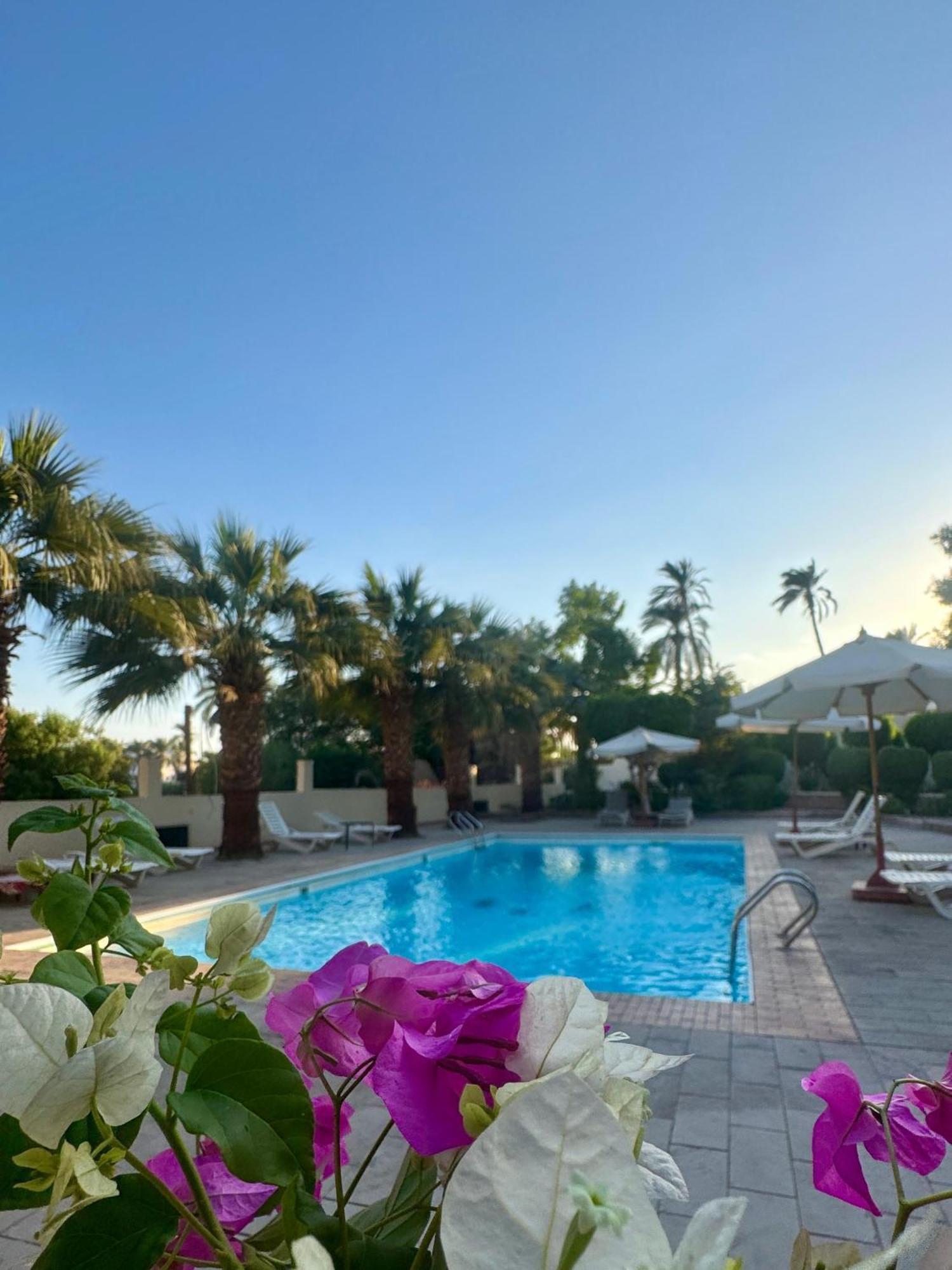 Hotel Sheherazade ลักซอร์ ภายนอก รูปภาพ
